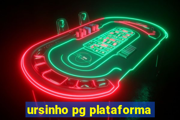 ursinho pg plataforma